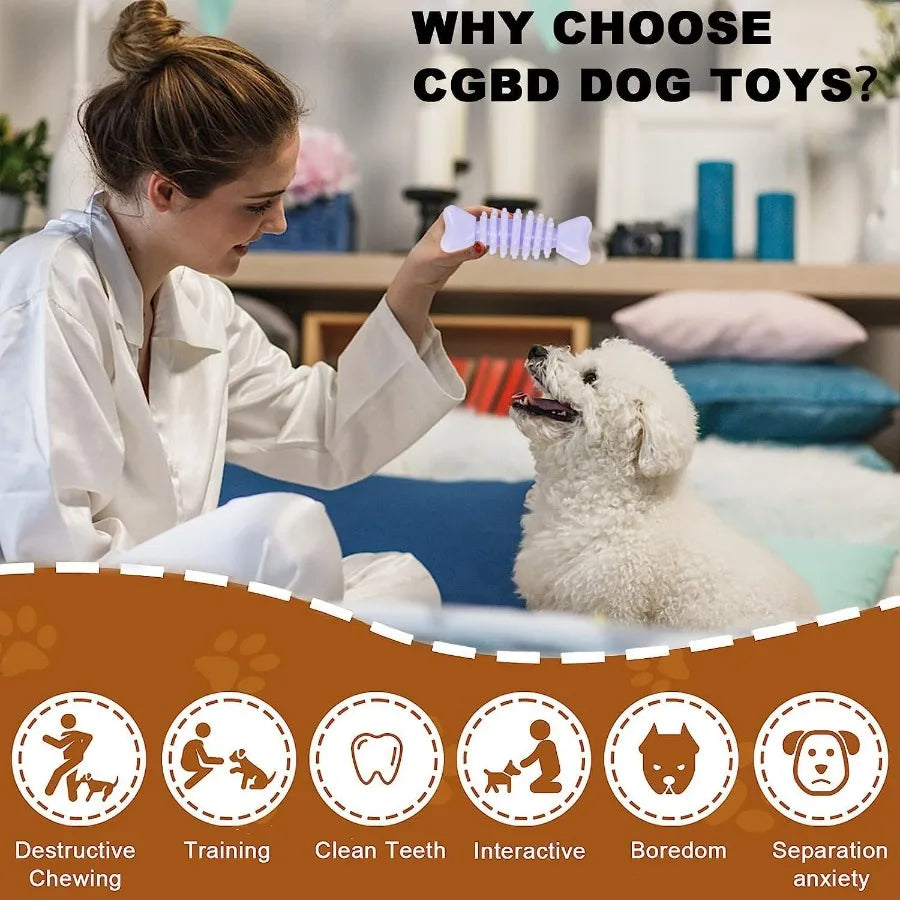 Small Puppy Chew Toys Pack Durable Interactive Teething Toy