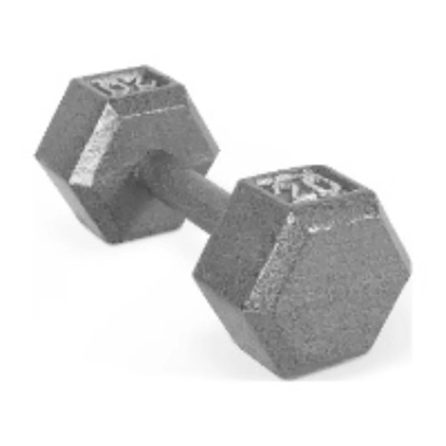 20lb Cast Iron Hex Dumbbell Anti Roll One Piece Home Gym