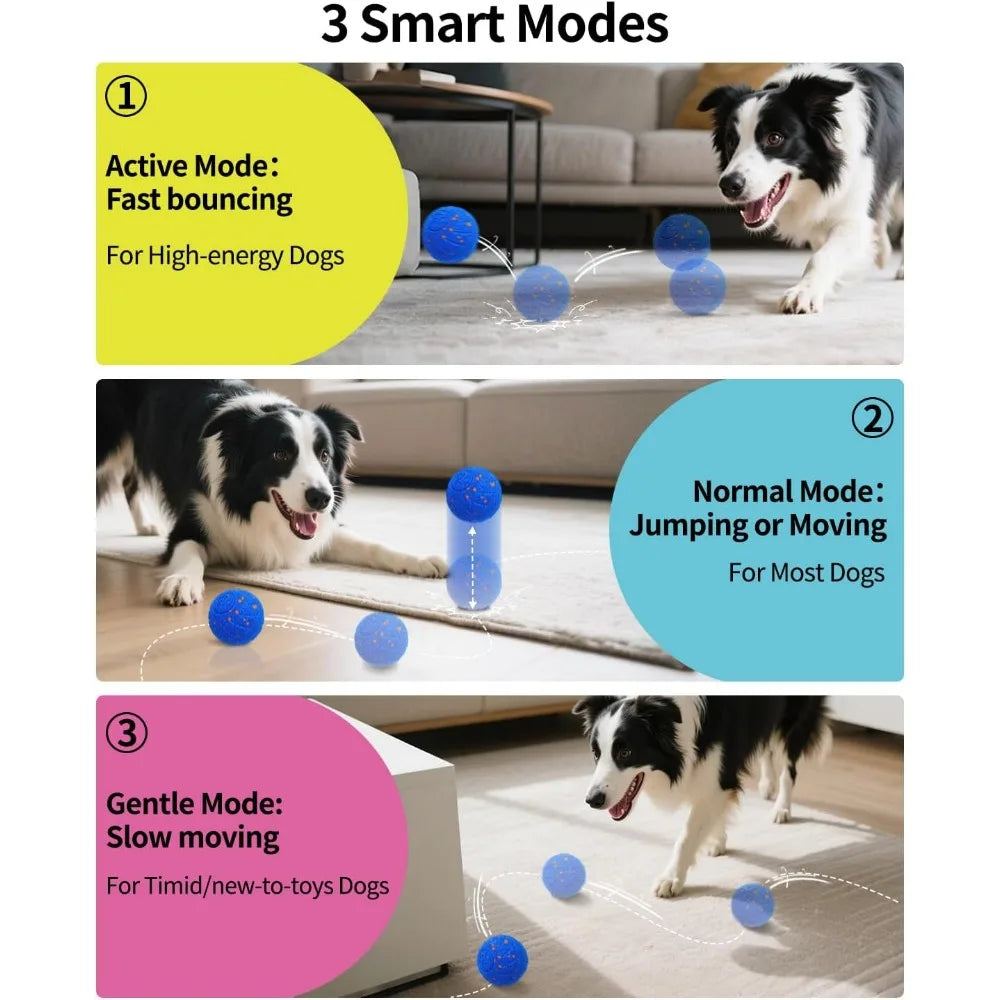 Schitec Smart Interactive Dog Ball Toy Autonomous Ball