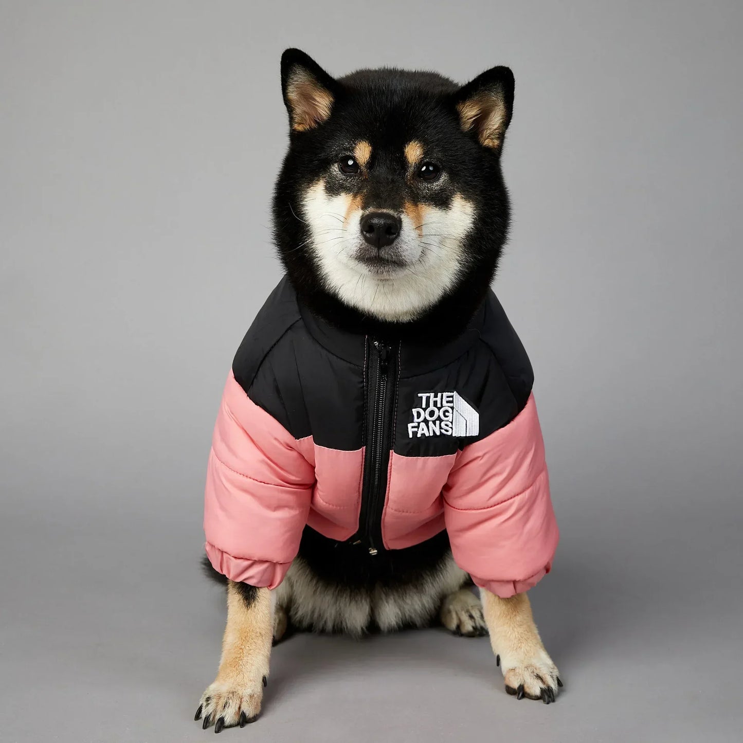 Zhejiang Dog Fans Winter Down Jacket For Small Medium Dogs