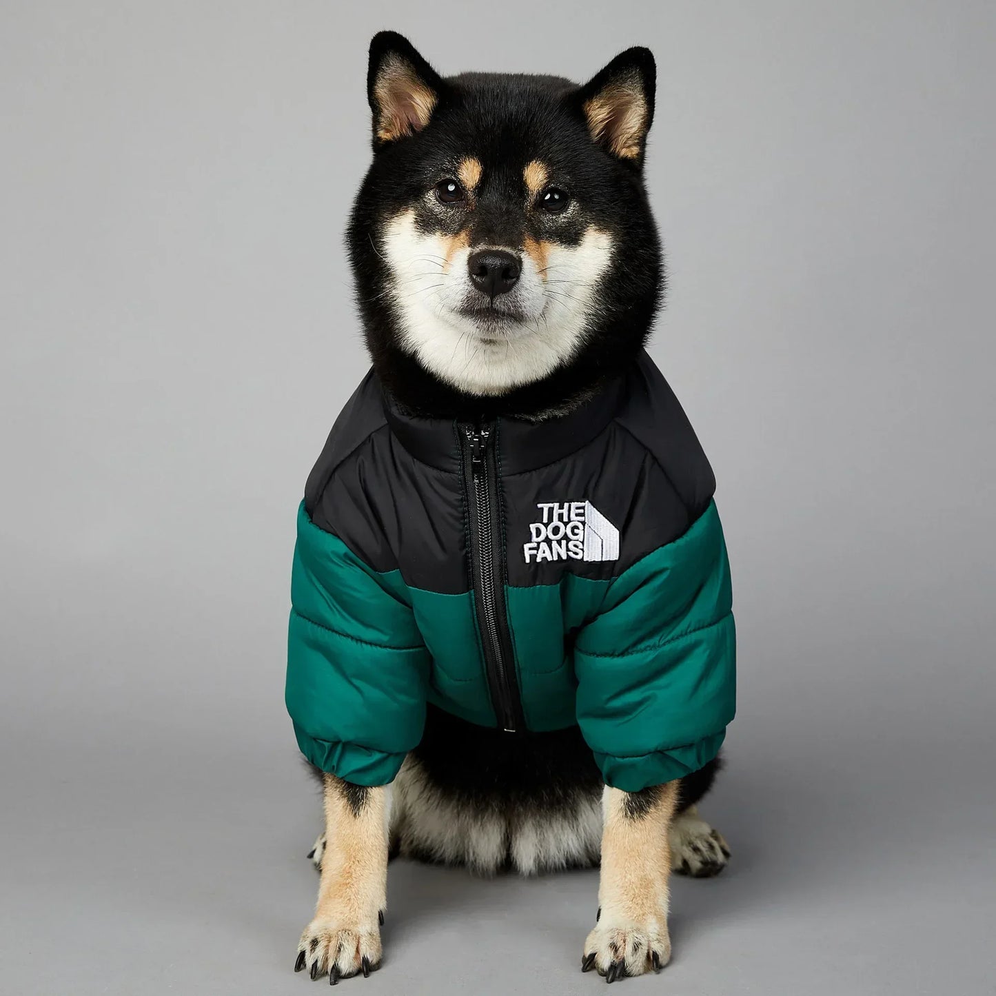 Zhejiang Dog Fans Winter Down Jacket For Small Medium Dogs