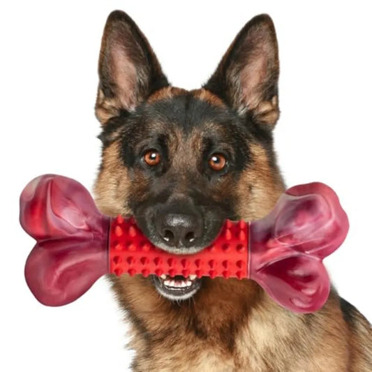 Hign-concerned Durable Nylon Chew Bone for Power Chewers