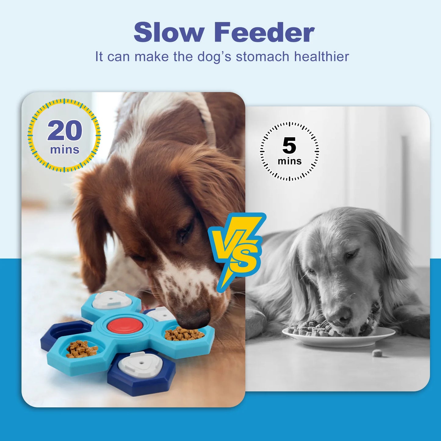 Hign Concerned Four Layer Pet Feeder Foraging Toy Elite