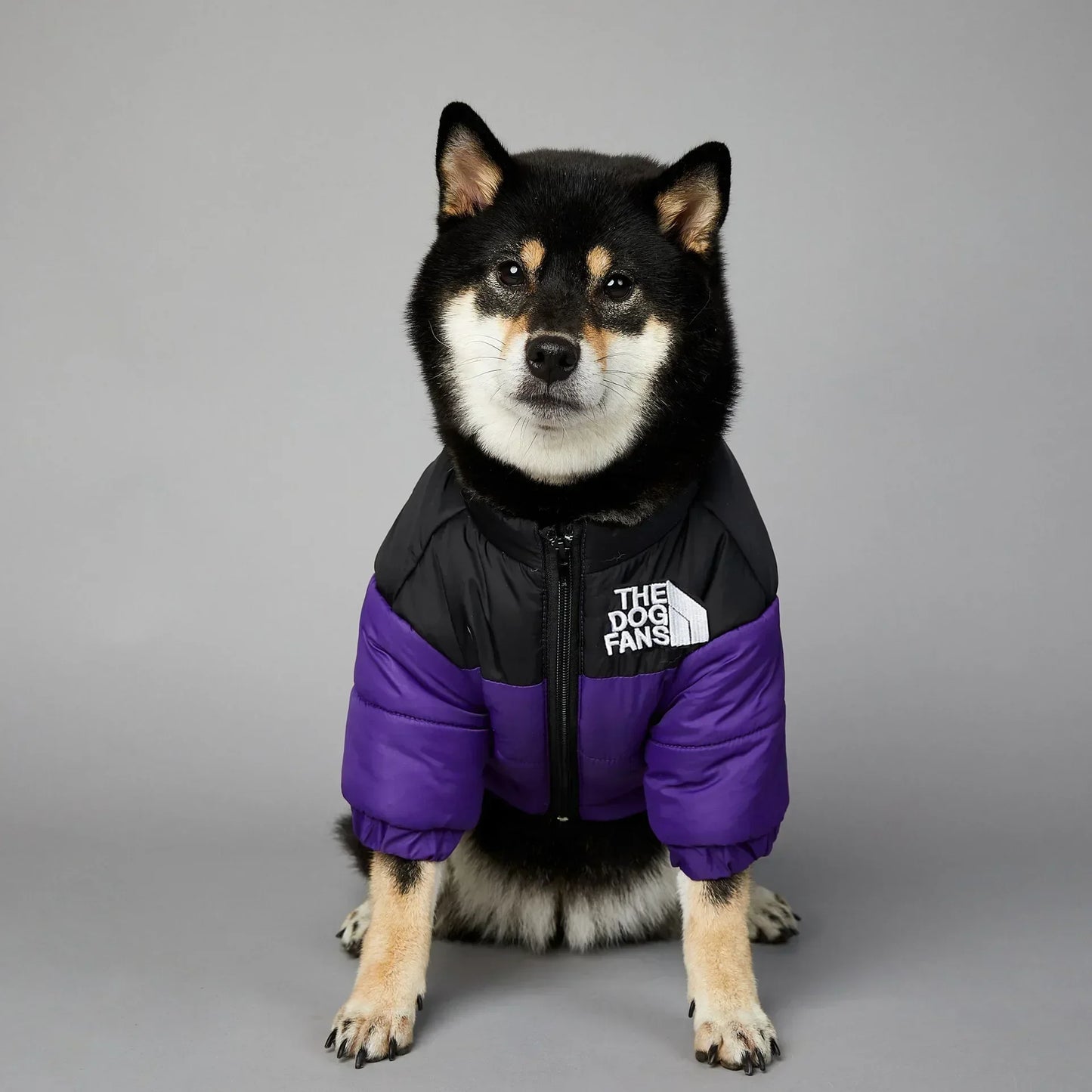 Zhejiang Dog Fans Winter Down Jacket For Small Medium Dogs