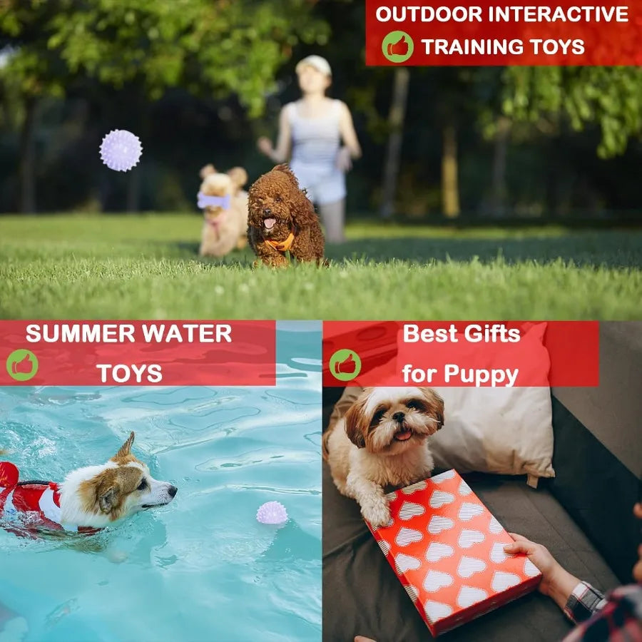 Small Puppy Chew Toys Pack Durable Interactive Teething Toy
