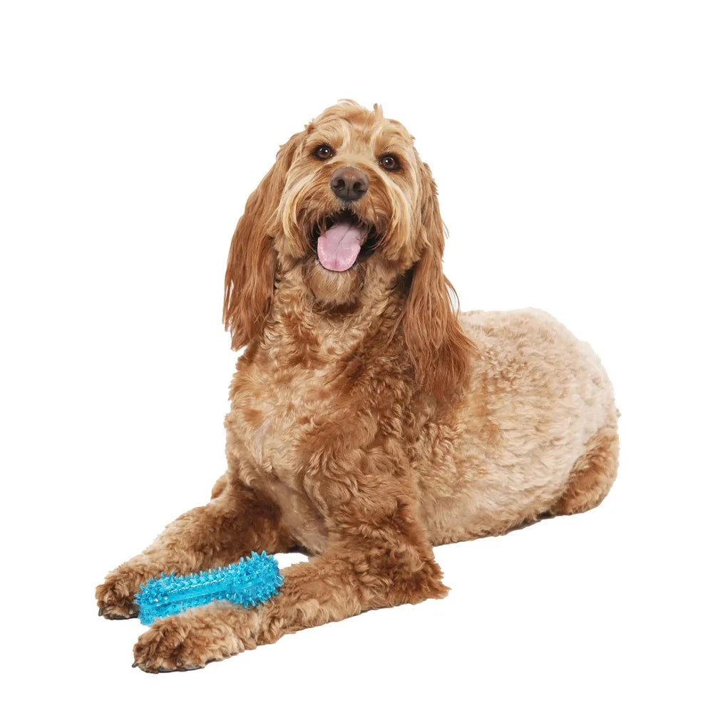 Spiky Bone Dog Toy Chew Level 3 Interactive Fetch Durable